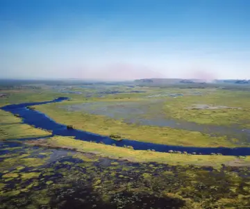 Que sont les zones humides ? - Types de zones humides