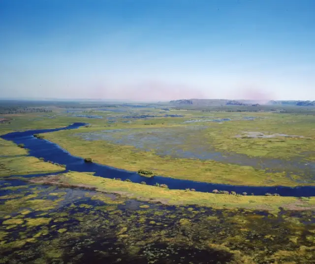 Que sont les zones humides ? - Types de zones humides