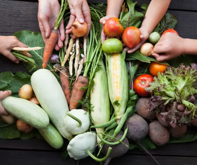 Journée de la gastronomie durable