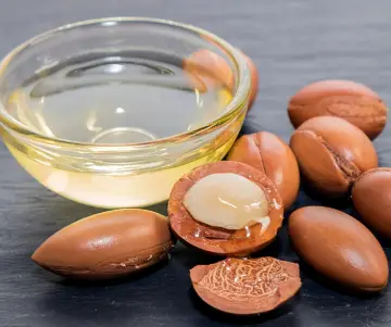 Journée Internationale de l'Argan