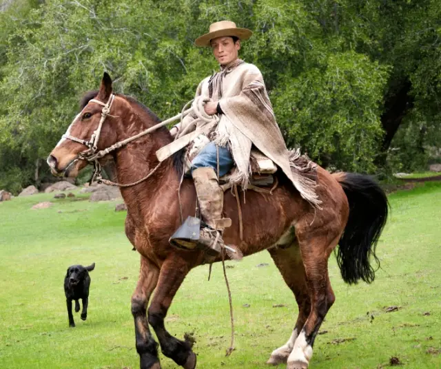 Huaso Day - Tradition chilienne