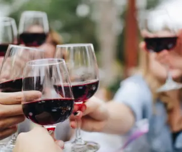 Journée nationale du vin au Chili