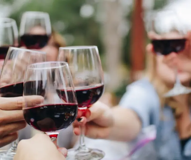 Journée nationale du vin au Chili