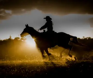 Día del charro - Honra al legado de los charros en México