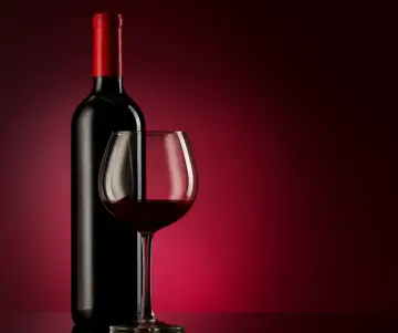 Les meilleurs vins que vous pouvez trouver au Chili