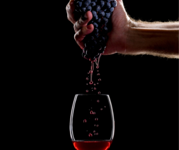 Comment faire du vin à la maison - Chili