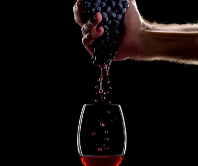 Comment faire du vin à la maison - Chili