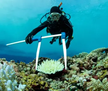 Qu’est-ce que la biologie marine ? | Défis et menaces