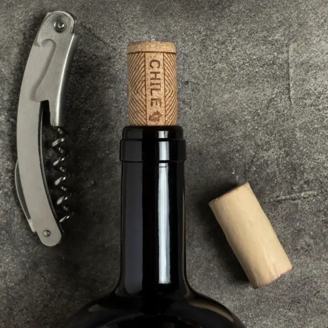 Cómo es el proceso de elaboración del vino chileno?