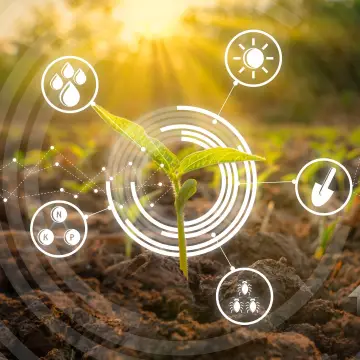 ¿Qué es la fotosíntesis ? - Fases de la fotosíntesis