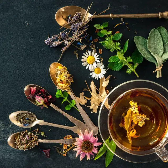 ¿Cuáles son los tipos de tés que existen?