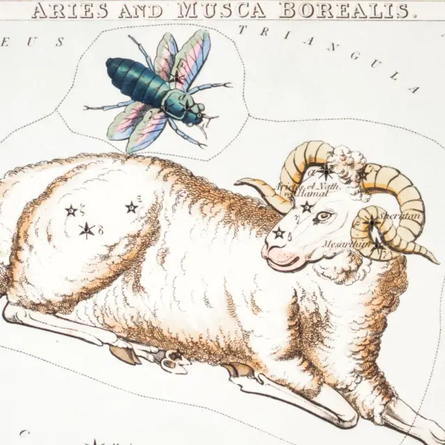 Principales caractéristiques du signe Bélier