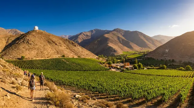 Qué hacer en el Valle del Elqui 2026: guía de turismo, observación astronómica y mejores rutas del pisco