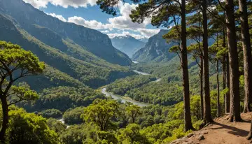 Guía para visitar el Parque Nacional Conguillío en 2026: senderos, mejores fechas y cómo llegar a la Araucanía