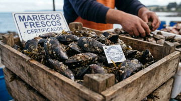 Qué es la marea roja en Chile: causas, riesgos para la salud y medidas de prevención para el consumo de mariscos