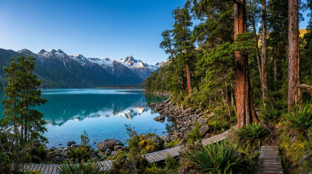 Santuarios de la Naturaleza en Chile: guía completa de áreas protegidas y cómo visitarlas en 2026