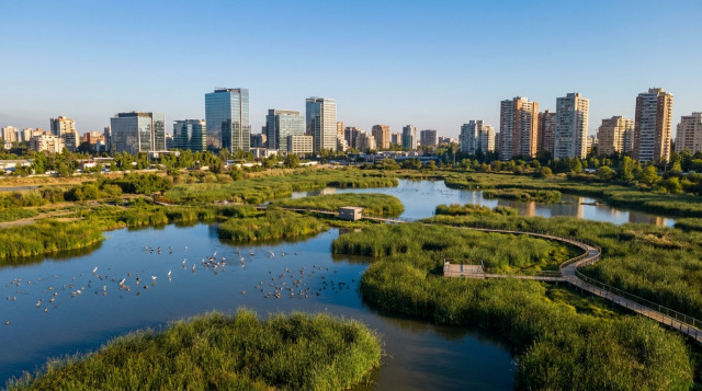 Qué es la Ley de Humedales Urbanos en Chile: importancia, protección y cómo denunciar daños ambientales