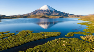 Qué ver en el Parque Nacional Lauca: guía de bofedales, volcanes y cultura aymara en el extremo norte