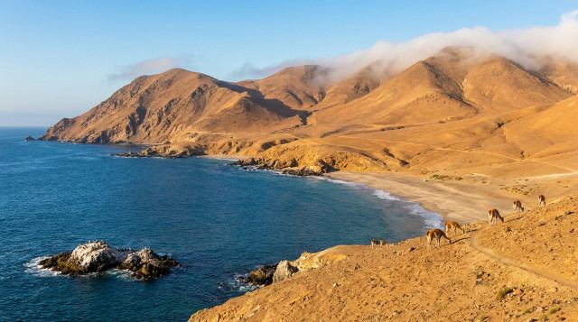 Vista panorámica del Parque Nacional Pan de Azúcar con el contraste entre los cerros desérticos y el mar azul de la costa de Atacama