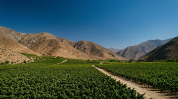 Qué ver en el Valle del Elqui: guía de astroturismo, pueblos y mejores viñedos