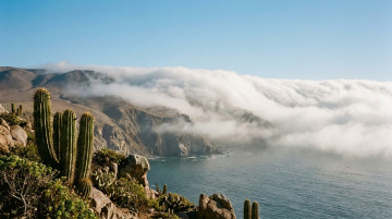 Qué es la Camanchaca: origen, importancia y cómo influye en el ecosistema del norte de Chile