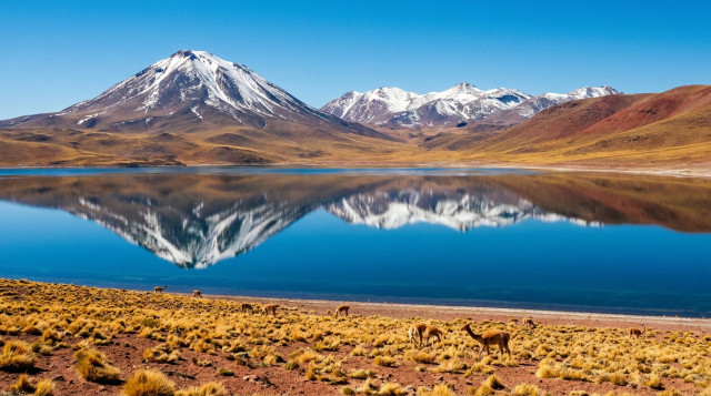 Vista panorámica de las Lagunas Altiplánicas Miscanti y Miñiques con sus volcanes nevados reflejados en el agua azul profundo