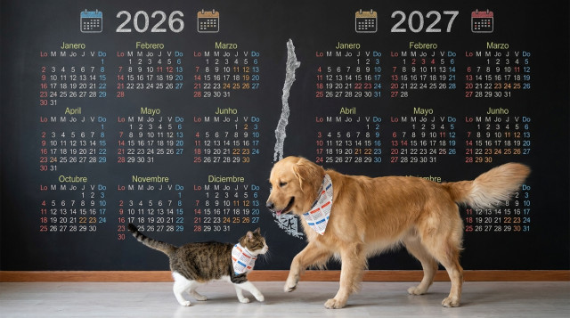 Rachas del calendario: coincidencias raras y repeticiones inusuales de fechas en Chile